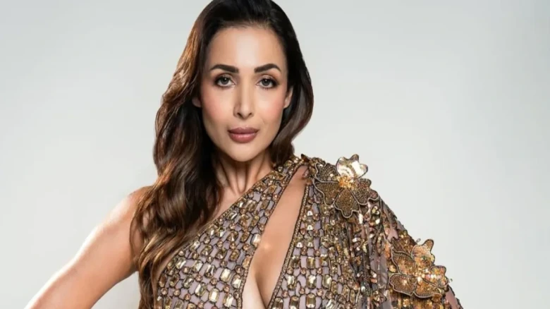 অর্জুন কাপুরের পর এবার ছোট পর্দার সোরাব বেদী? ভাইরাল ভিডিওতে মালাইকার নতুন প্রেমের গুঞ্জন